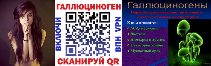 Купить где  Якутск  Псилоцибиновые грибы GOLDEN TEACHER 